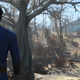 Image for article titled The world of Fallout 4 might be a dump, but it’s your dump, dammit